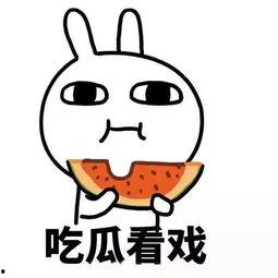 吃瓜都吃吐了,揭秘娱乐圈幕后真相