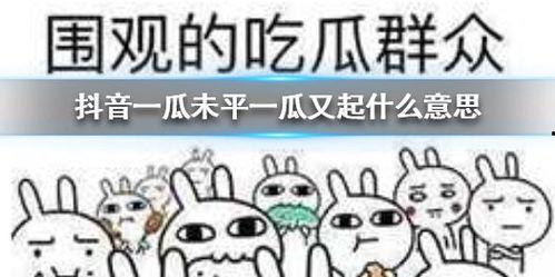 带你吃高端瓜 抖音,带你领略抖音“高端瓜”的魅力世界