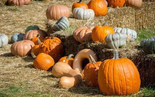 自己吃大半个吃瓜,大半个瓜的独享时光