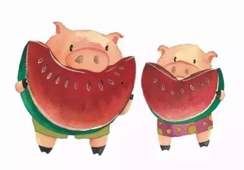 伊丽莎白猪吃瓜