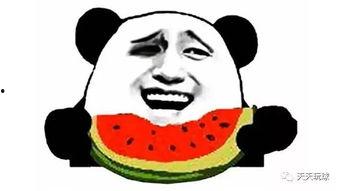 不停的在吃瓜,揭秘娱乐圈的“吃瓜”狂欢