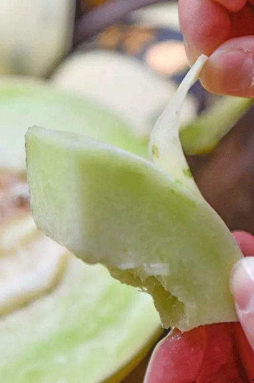 月露瓜如何吃
