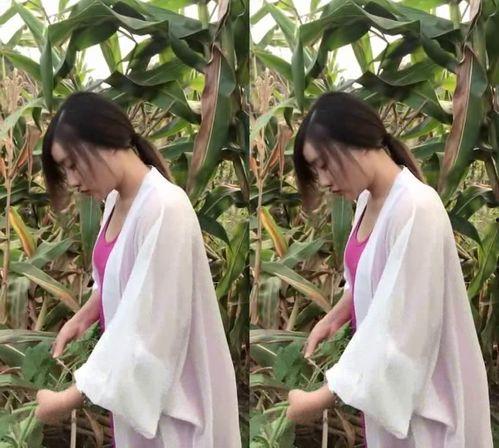 奇葩叶子带你吃瓜,奇葩叶子带你领略吃瓜界的奇闻异事