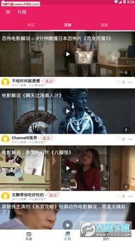 吃瓜app狗头,揭秘网络热梗背后的趣味与智慧