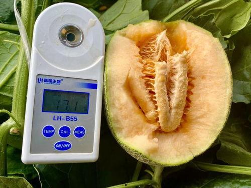 最近吃瓜大全,盘点那些让人瞠目结舌的幕后故事