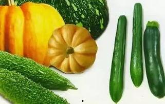 怎么才叫吃瓜,揭秘“吃瓜”背后的真相与乐趣