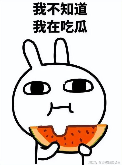 吃瓜的咕呱,揭秘娱乐圈幕后故事