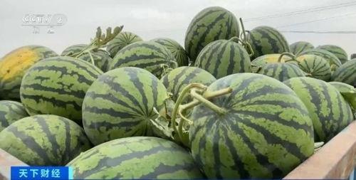 李黛吃瓜,揭秘娱乐圈幕后故事