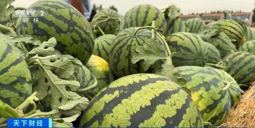 李黛吃瓜,揭秘娱乐圈幕后故事