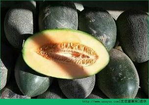 脾虚宝宝可以吃哈密瓜吗