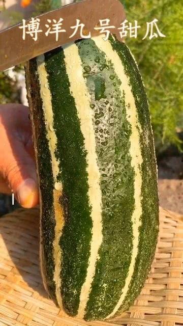 带你吃瓜之这瓜保熟吗,“这瓜保熟吗？”背后的真相与内幕