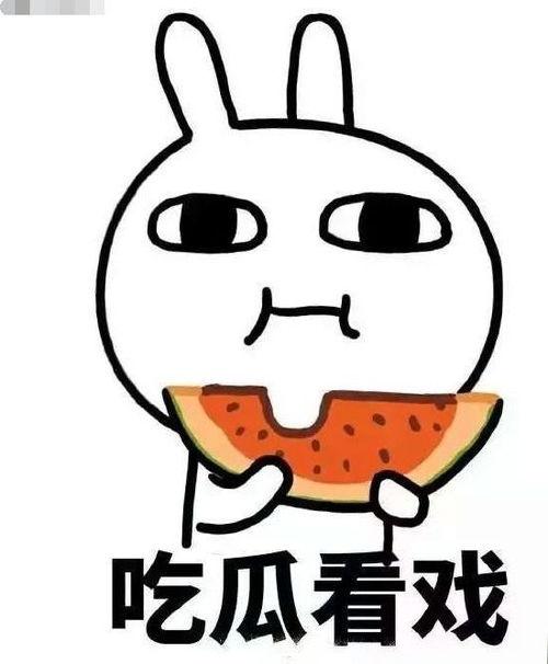 瘫着吃瓜,畅享悠闲时光