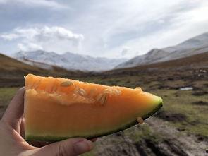 吃瓜雪山,揭秘神秘雪域的瓜果传奇