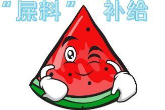 河南大型吃瓜现场,全民共享的夏日盛宴