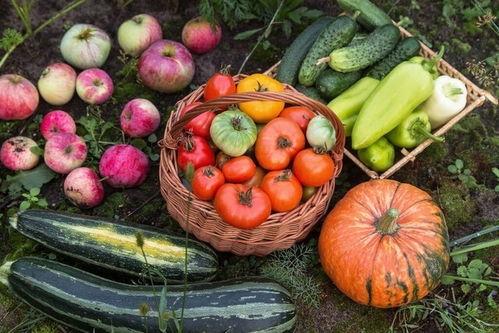 吃瓜对身体不好