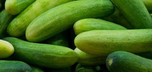 吃瓜对身体不好