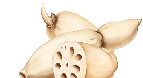 二宝吃瓜模式,揭秘娱乐圈幕后风云