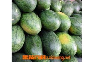 美瓜怎么吃,解锁夏日清新美味