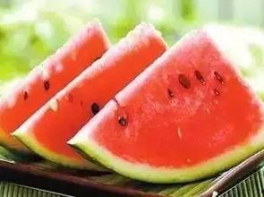 马吃瓜的图片,夏日田园风光尽收眼底  第1张