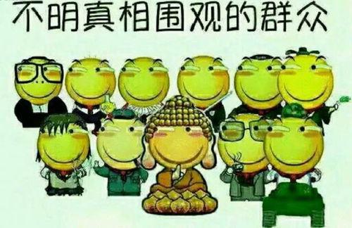 搞笑吃瓜转场文案图片,轻松转场新篇章  第2张