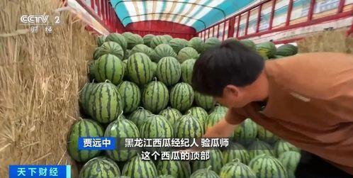 实地吃瓜,吃瓜群众的现场体验记  第2张