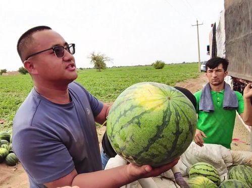 实地吃瓜,吃瓜群众的现场体验记  第3张