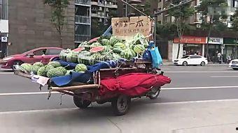 塞车时吃瓜趣事,瓜田里的欢乐时光  第2张