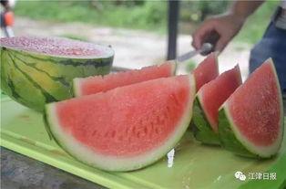 重庆程佳佳吃瓜,揭秘网络热议背后的真相  第3张