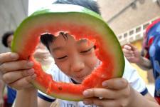 邯郸本地吃瓜  第3张