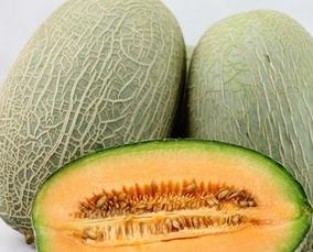 天天吃哈密瓜  第2张