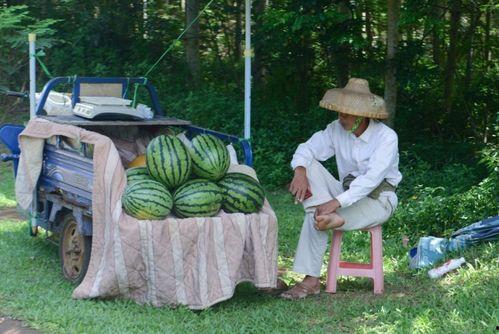 山东景点吃瓜女,揭秘当地特色美食之旅  第3张
