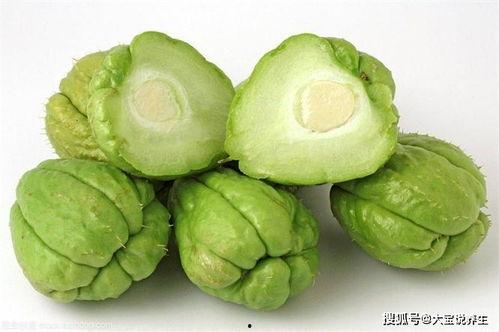 小狗可以吃佛手瓜,揭秘佛手瓜的可爱食趣  第3张