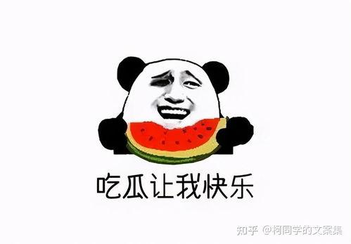 求吃瓜搞笑文案  第2张