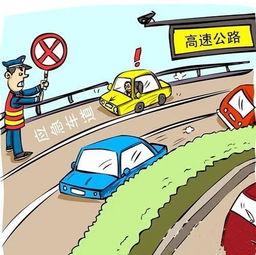 儿童吃瓜安全吗,营养与健康的双重考量  第3张